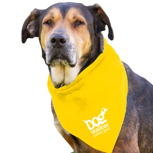 DB29_YELLOW_WHITE_1C.png
