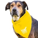 DB29_YELLOW_WHITE_1C.png