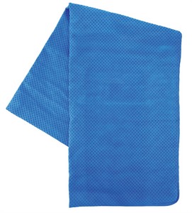 KPCLTWL blue towel image
