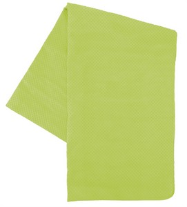 KPCLTWL lime towel image