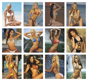 Triumph Calendars Press-N-Stick Full-Color Header Sunshine Girls Calendar month image