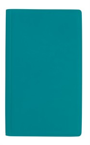 V9199 teal image