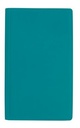 V9199 teal image