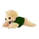 VAUR001 sloth side view
