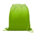 VBAG023 Lime