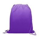 VBAG023 Purple