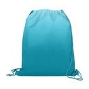 VBAG023 Teal