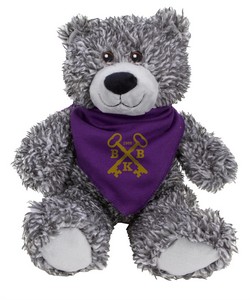 VPLS010 front with bandanna