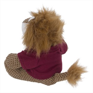 VPLS020 Lion back
