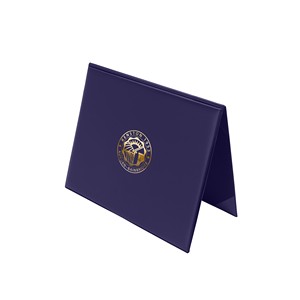 32536_navy_angled horizontal_foil.jpg