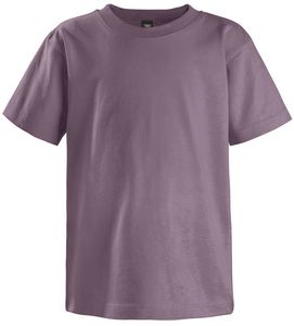 Eggplant