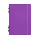 NDB Purple blank