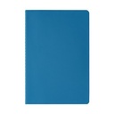 NDD Blue blank