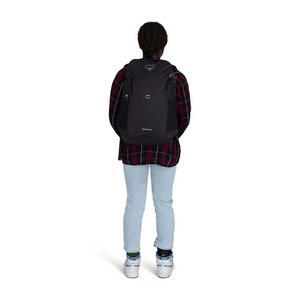 Alternate