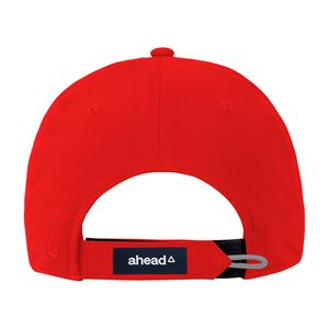 Alternate