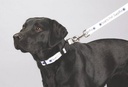 SM-8060SBLAngle-Right