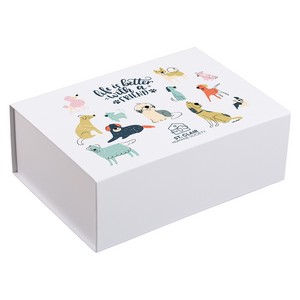 [BIB-BM25] Premium Medium Magnetic Closure Gift Box