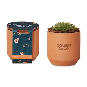 [100899-236] Modern Sprout® Tiny Terracotta Grow Kit Thank You Daisies - Terracotta