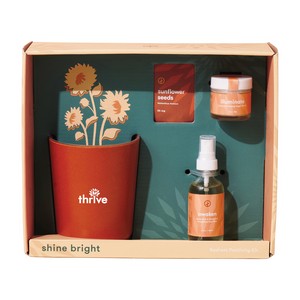 [100898-801] Modern Sprout® Shine Bright Take Care Kit - Sunflower - Shine Bright Sunflower