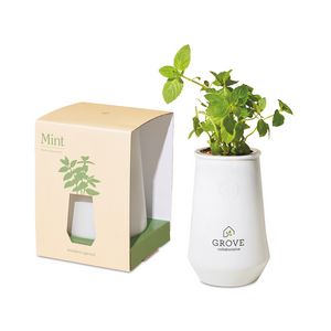 [100929-100] Modern Sprout Tapered Tumbler Grow Kit - White-Mint