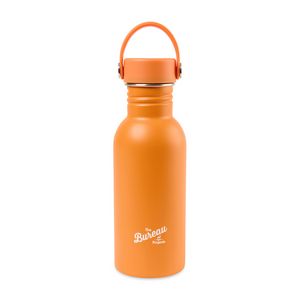 Arlo Classics Stainless Steel Hydration Bottle - 17 Oz. - Carrot Curl