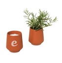 Modern Sprout® Rooted Candle - Sienna-Rosemary