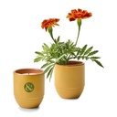 Modern Sprout® Garden Vibes Candle/Planter - Last Light-Marigold