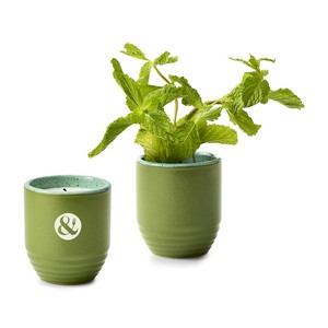 [102808-268] Modern Sprout® Garden Vibes Candle/Planter - In The Weeds-Mint