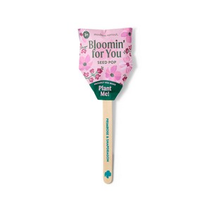 [103175-668] Modern Sprout Flower Seed Pop - Bloomin' for you