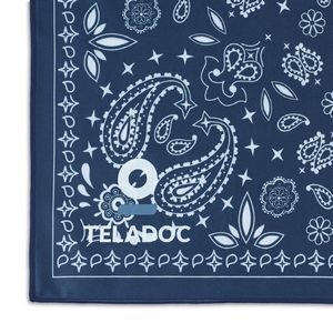 Slowtide Quick-Dry Towel - Paisley Park - Navy