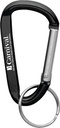Small Carabiner Key Ring