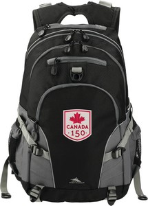 [8050-39] High Sierra Loop Backpack