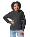 Comfort Colors® Youth Lightweight Hooded Sweatshirt