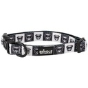 Dog Collar With Neoprene Backing: Large