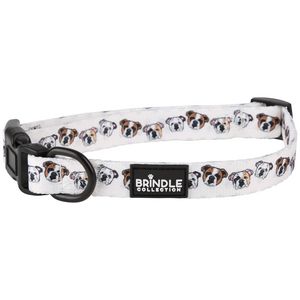 Dog Collar: Medium