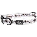 Dog Collar: Medium