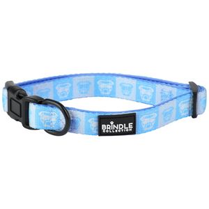 Dog Collar With Neoprene Backing: Medium