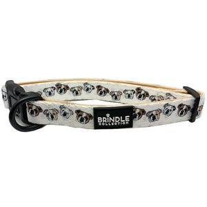 [DOGCS16] Dog Collar With Neoprene Backing: Small