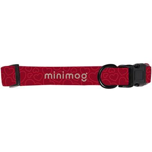 Dog Collar: Extra Small