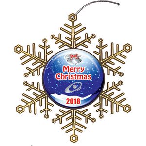 Digistock Ornaments - Snowflake