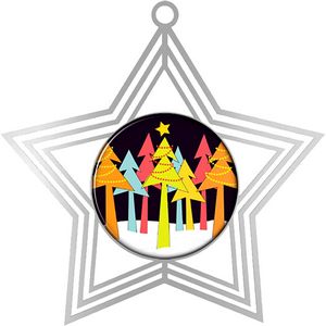 Digistock Ornaments - Silver Star