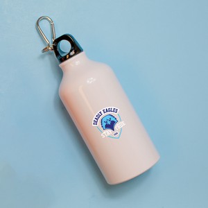 [WB7107] 500 Ml (17 Fl. Oz.) Aluminum Water Bottle With Carabiner