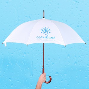 [UE910] Executive Umbrella: 48" Arc With Hook Handle: 48" Arc with Hook Handle