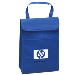 [NW4517] Non Woven Insulated Lunch Cooler