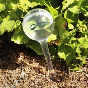 [BGP415] Evergreen Self-Watering Plastic Globe