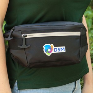[KN9952] Glacier Peak Waist Pack
