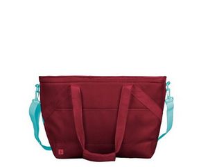 Cooler Bag - Left of Center (Small)