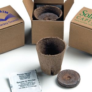 Tree In A Recycled Box Kit