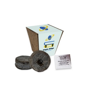 [SD1111] Jumbo Planting Kits with Paper Wrap - Norway Spruce