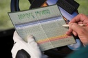 Golf Scorecards - 12"x4"